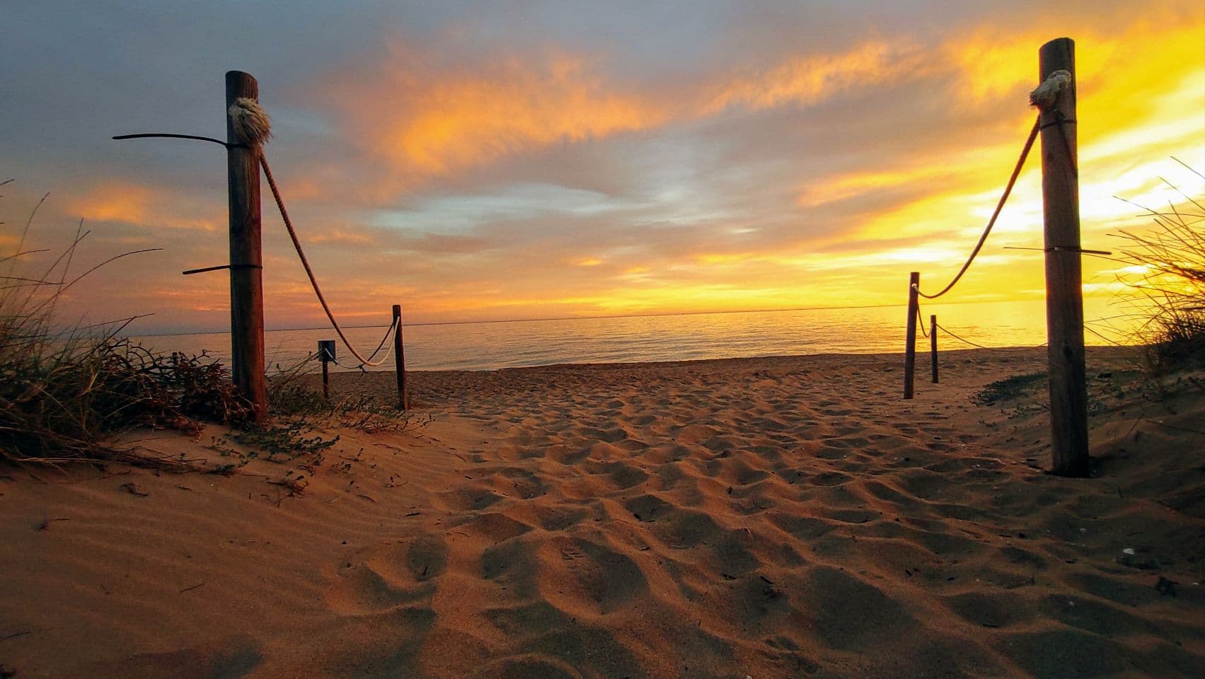 Tavernes de la Valldigna thumbnail 2